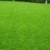 10 kg Sportrasen Spielrasen Grassamen Rasensamen Rasensaat Gras strapazierfähig ca. 300 - 400 m² - 2