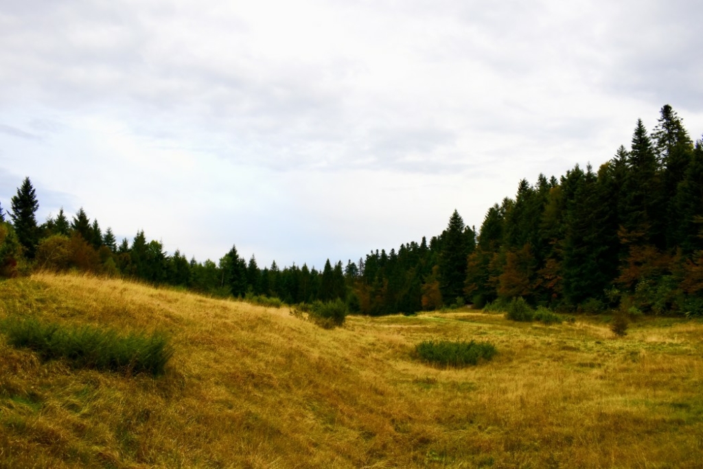 Mähroboter Hanglage