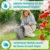 Gardena Mähroboter SILENO minimo 500 m²: intelligenter Rasenmäher mit optimaler Konnektivität, mit Gardena Bluetooth® App programmierbar, DE-Version (15202-20) - 4